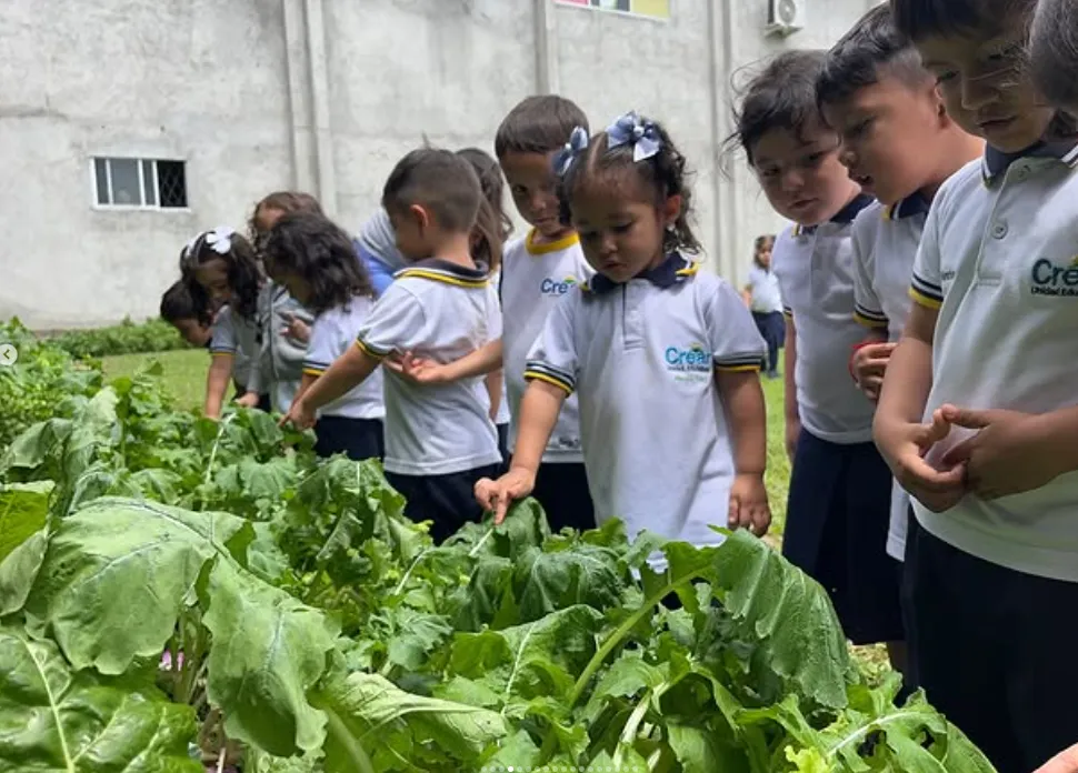 Niños en preescolar aprendiendo